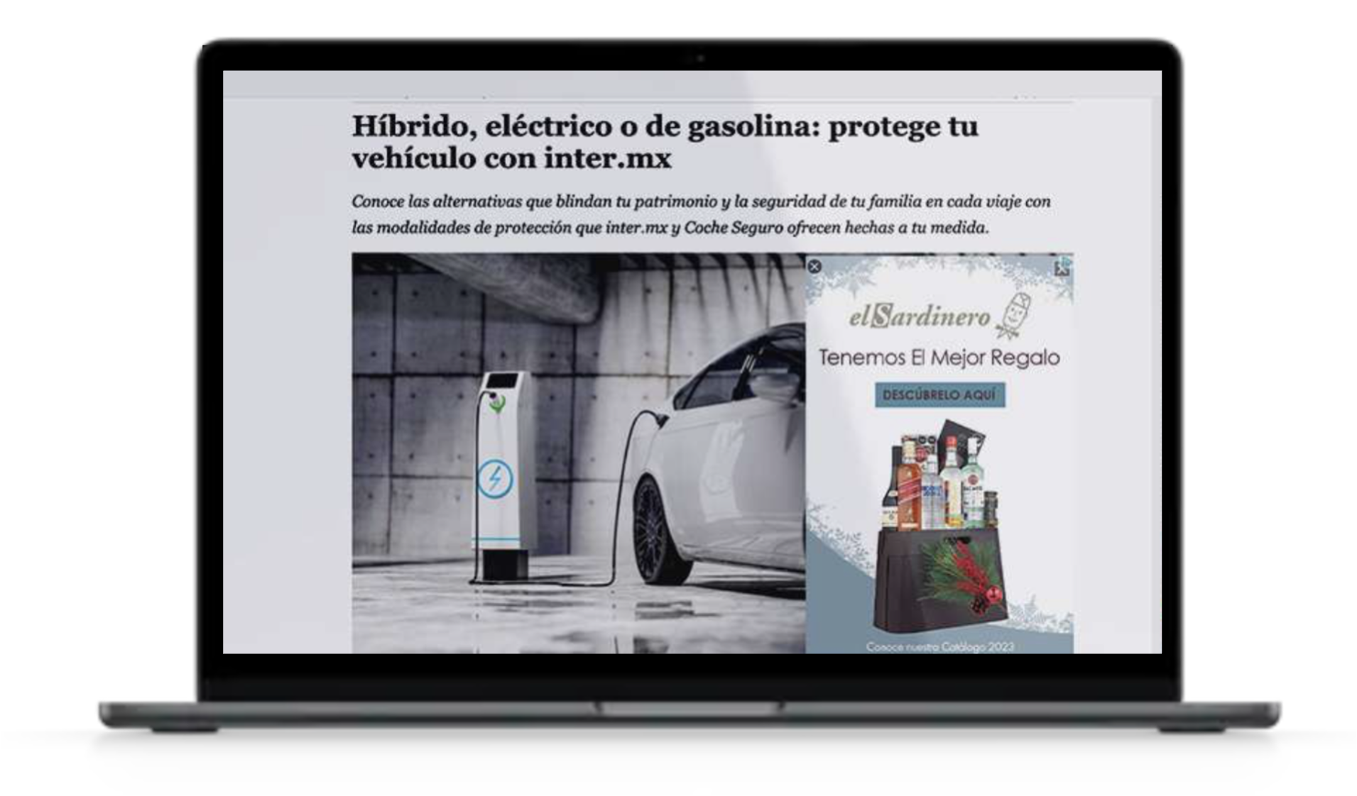Newsletters Editoriales